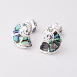 S957 - 925 silver abalone ammonite stud earrings