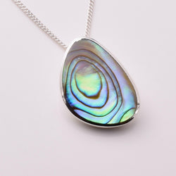 P1178 - 925 silver abalone eccentric shape pendant