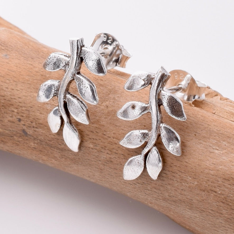S812 - 925 silver laurel leaf stud earrings