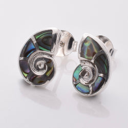 S933 - 925 silver & abalone ammonite stud earrings