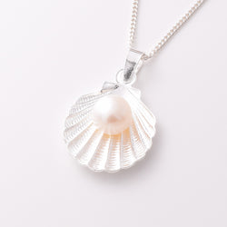 P1167 - 925 silver and f/w pearl scallop pendant