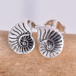 S584 - Nautilus shell silver stud earrings