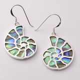 E889 - 925 silver abalone amonite earrings