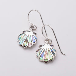 E814 - 925 silver abalone scallop earrings
