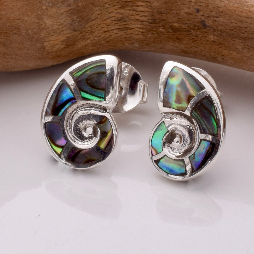 S933 - 925 silver & abalone amonite stud earrings