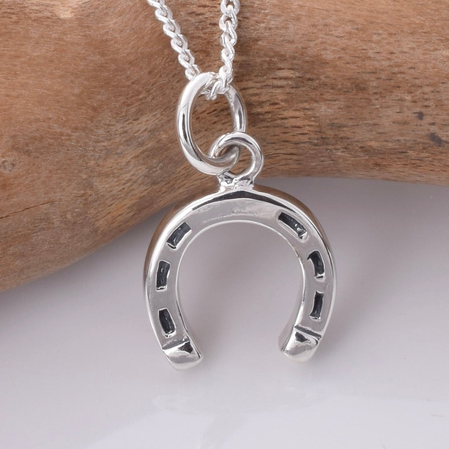 P895 - 925 Silver Horseshoe pendant