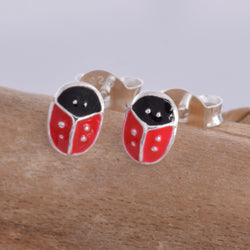 S571 - Coloured red ladybird