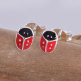S571 - Coloured red ladybird