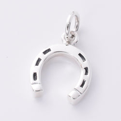 P895 - 925 Silver Horseshoe pendant