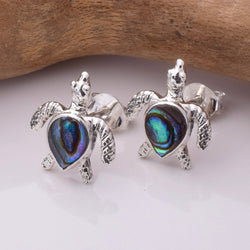 S744 - 925 silver abalone turtle stud earrings