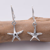 E297 Silver Starfish 12mm Earrings on fish hook