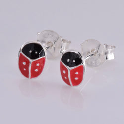 S571 - Coloured red ladybird
