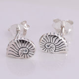 S584 - Nautilus shell silver stud earrings