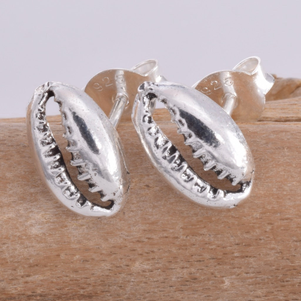 S574 - Cowrie Shell stud earrings
